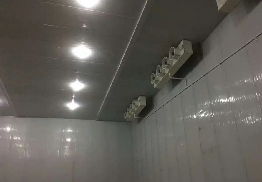 冷凍庫造價