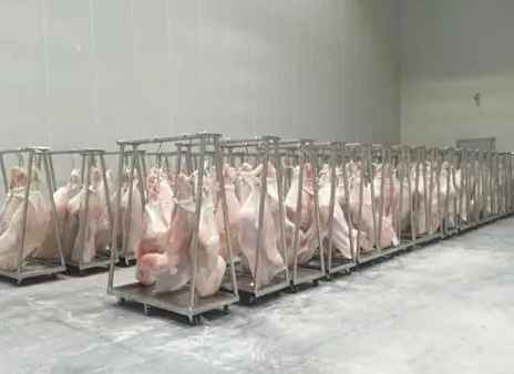 安裝500立方豬肉冷凍庫(kù)需要多少錢(qián)