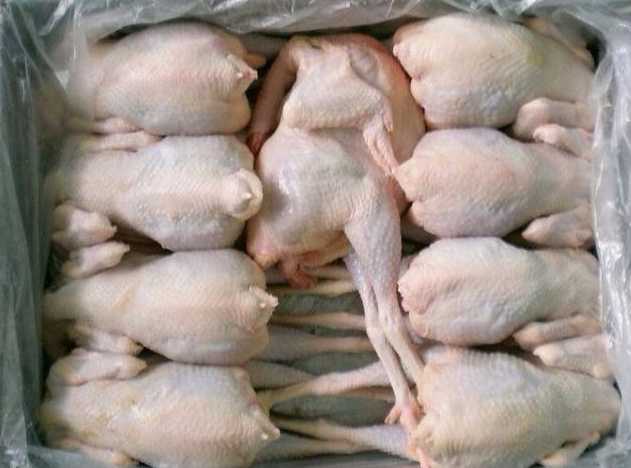 雞肉在冷凍庫(kù)里可以放多久